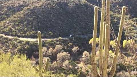 Watch: A bird's-eye view of Sabino Canyon